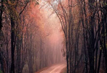 CBA广厦队近期有哪些值得关注的动态？