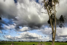 亚洲杯男篮中国对阵日本，这场比赛的胜负关键在哪？